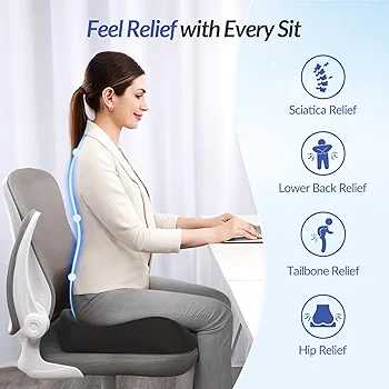 Pioneering Ergonomic Seat Cushions 2