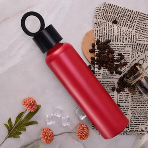 Vacuum Insulated Water Bottle with Holder 6