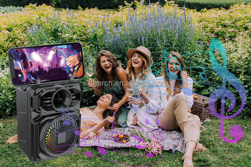 Sing-e Portable Karaoke Speaker 6