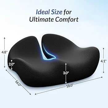 Pioneering Ergonomic Seat Cushions 5